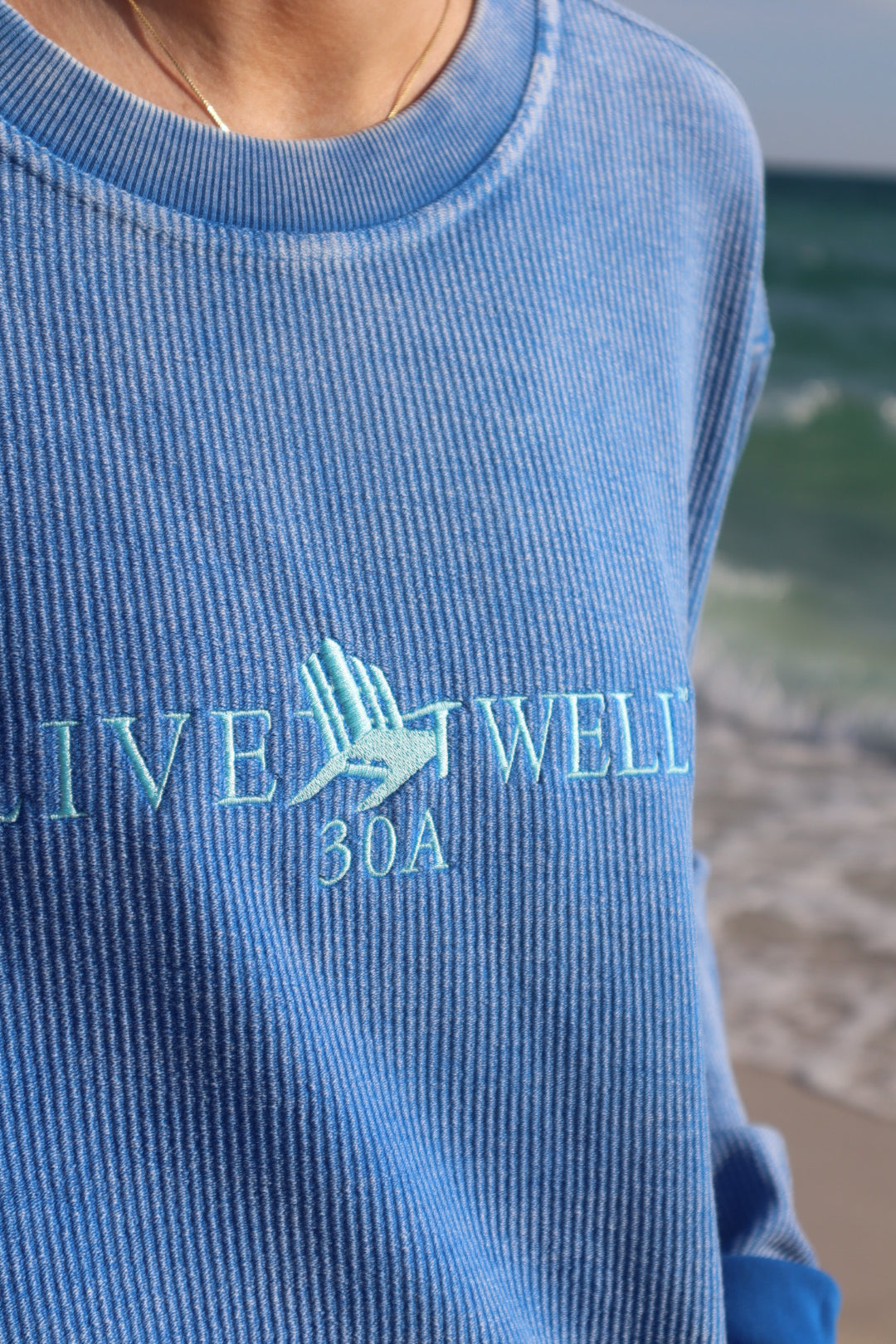 Unisex Classic Embroidered Logo Ribbed Sweatshirt - Blue