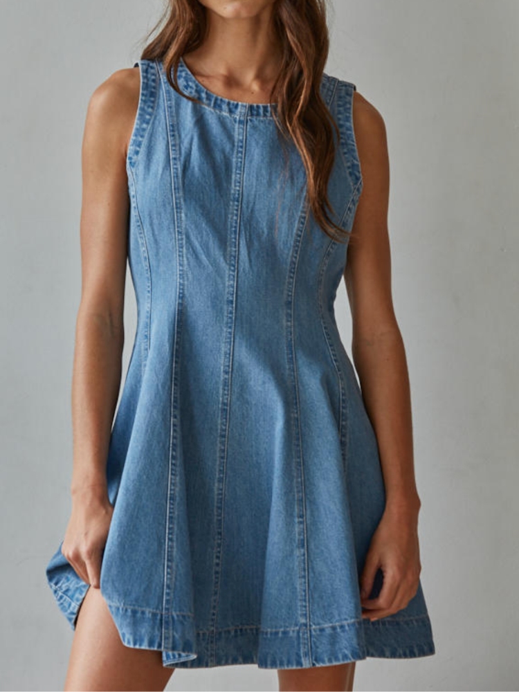 Twiggy Denim Mini Dress